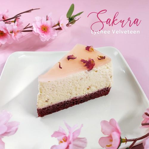 Starbucks Sakura Lychee Velveteen
