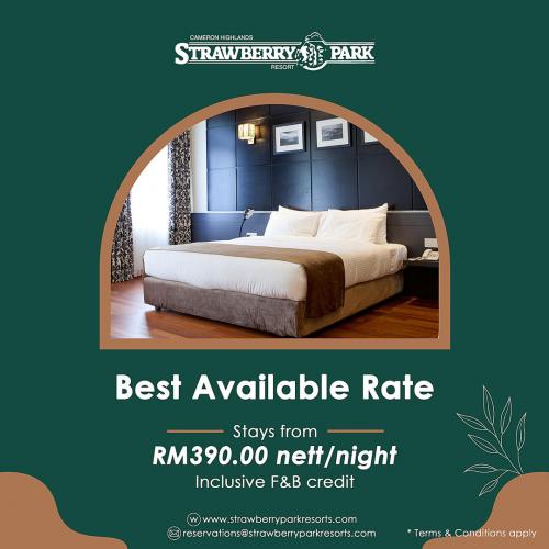 Strawberry Park Promotion