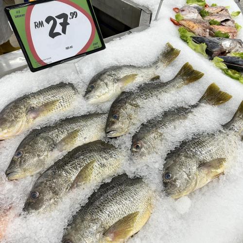 Giant Fresh & Grocery Promotion (valid until 13 Aug 2023)