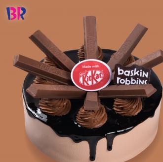 Baskin Robbins Coco-Go-Round Ice Cream Cake