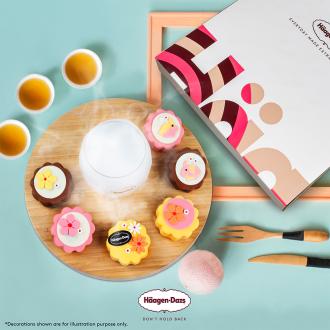 Haagen-Dazs Mid-Autumn Mini Cake Gift Set