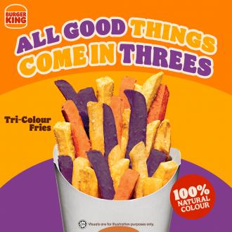 Burger King Tri-Colour Fries