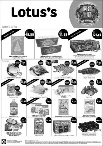Tesco / Lotus's Chinese New Year Promotion (valid until 12 January 2022)