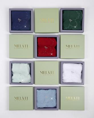 Ariani Promotion