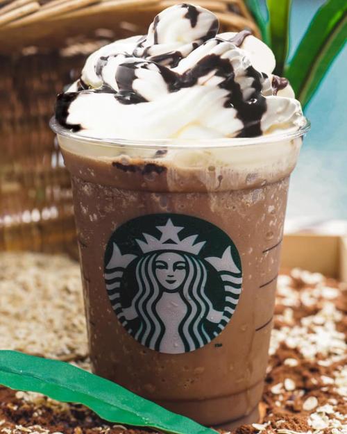 Starbucks Oatmilk Cocoa Series
