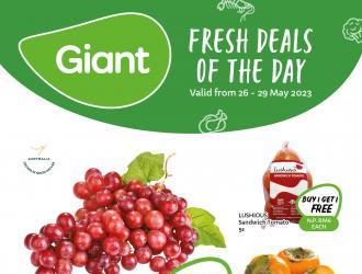 Giant Fresh Deals Of The Day Promotion (26 May 2023 - 29 May 2023)