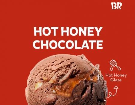 Baskin Robbins Hot Honey Chocolate Ice Cream