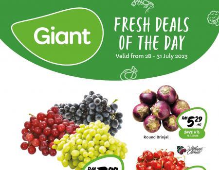 Giant Fresh Deals Of The Day Promotion (28 July 2023 - 31 July 2023)
